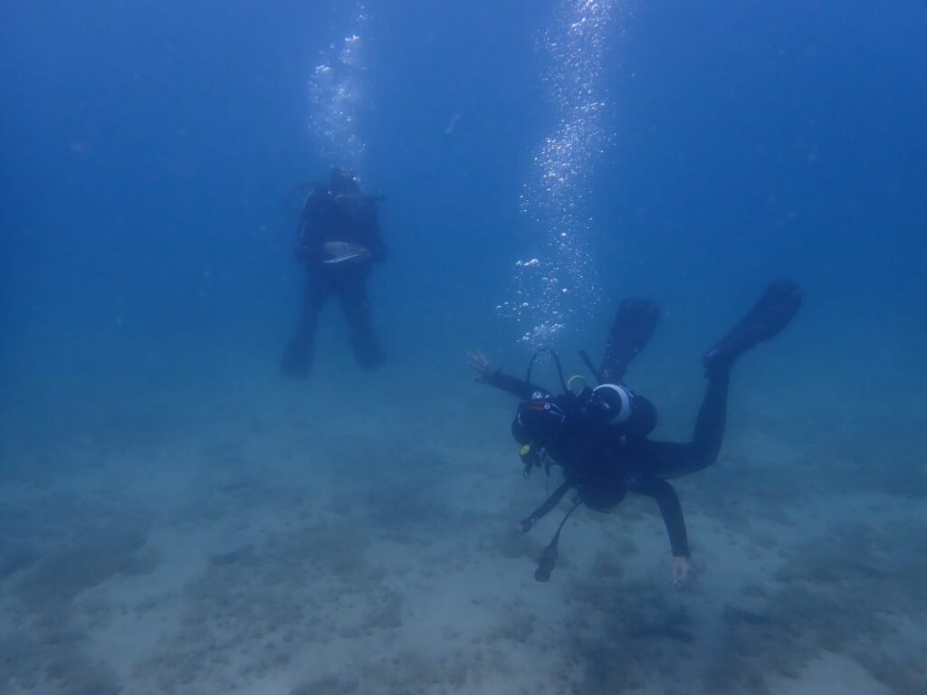 The divers