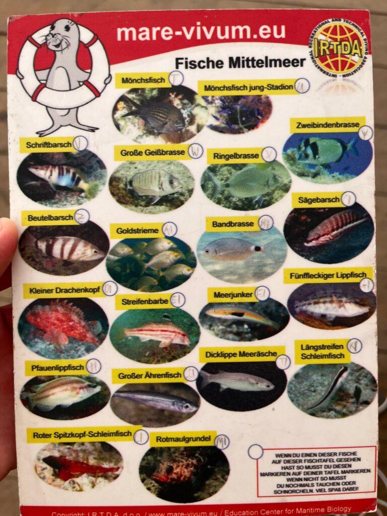 Species to be spotted